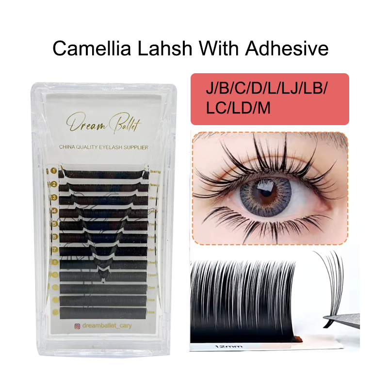 Eyelash Extension Human Hair - dream ballet Camellia Lashes with Adhesive