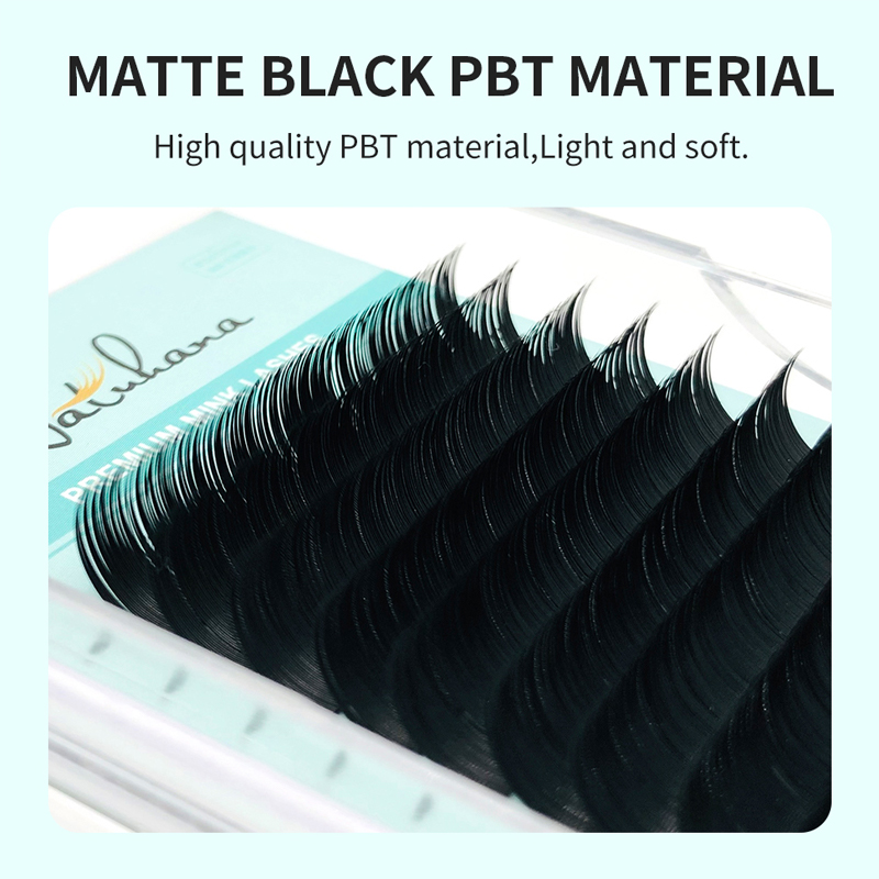NATUHANA Korea PBT 16Rows B C  - Eyelash Extension Korea Natural 评论和价格