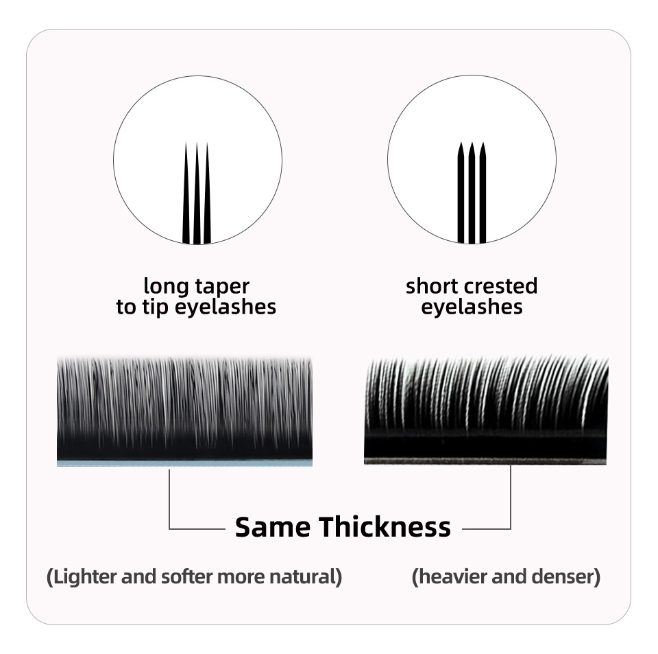 AGUUD J B C D Curl Volume Lash - Eyelash Extension Korea Natural 评论和价格