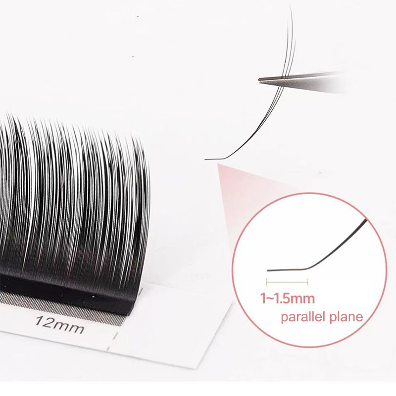 dream ballet Camellia Lashes w - Eyelash Extension Human Hair 评论和价格