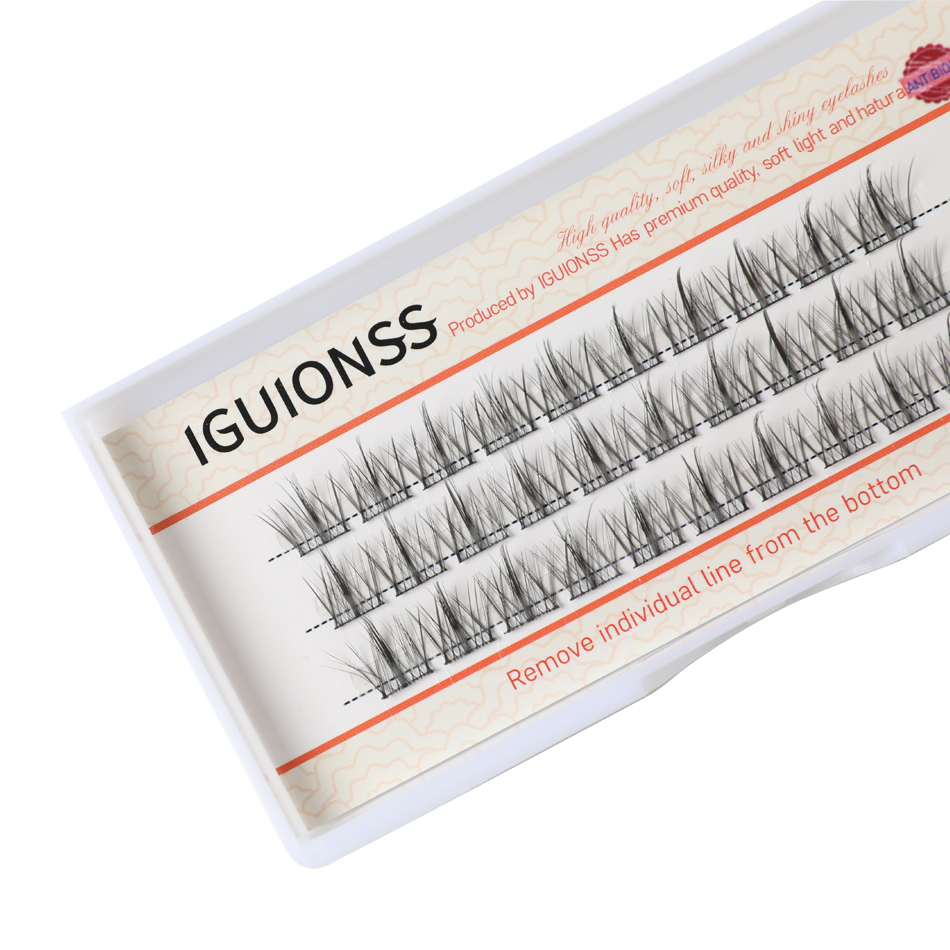 IGUIONSS DIY Eyelash Extension - Eyelash Extension Class 评论和价格