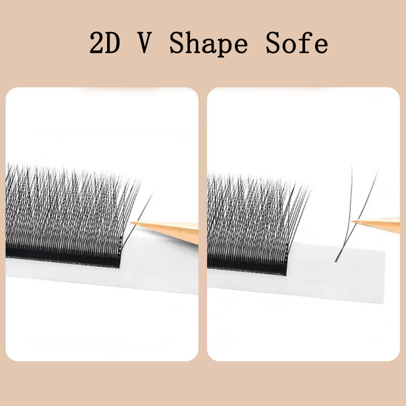 MARIA 2D Y Shape Eyelashes Han - Eyelash Extension Human Hair 评论和价格